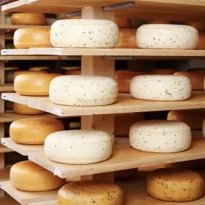 h_t_use-case-business-with-cheese-1230x825